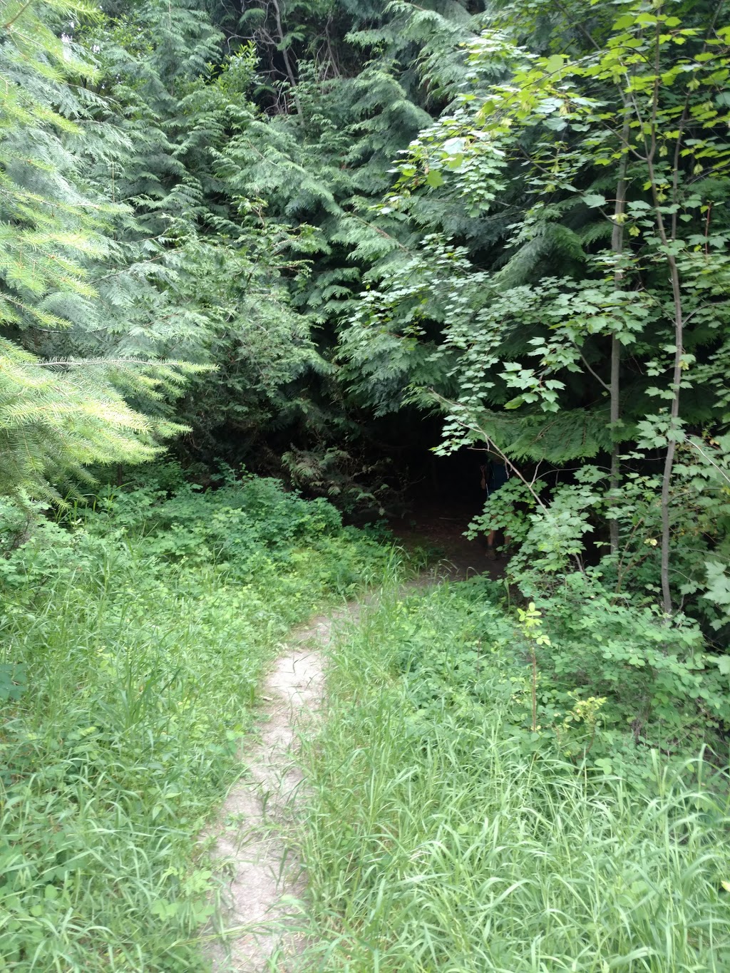 Scenic Canyon Regional Park | Kelowna, BC V1W 4G1, Canada