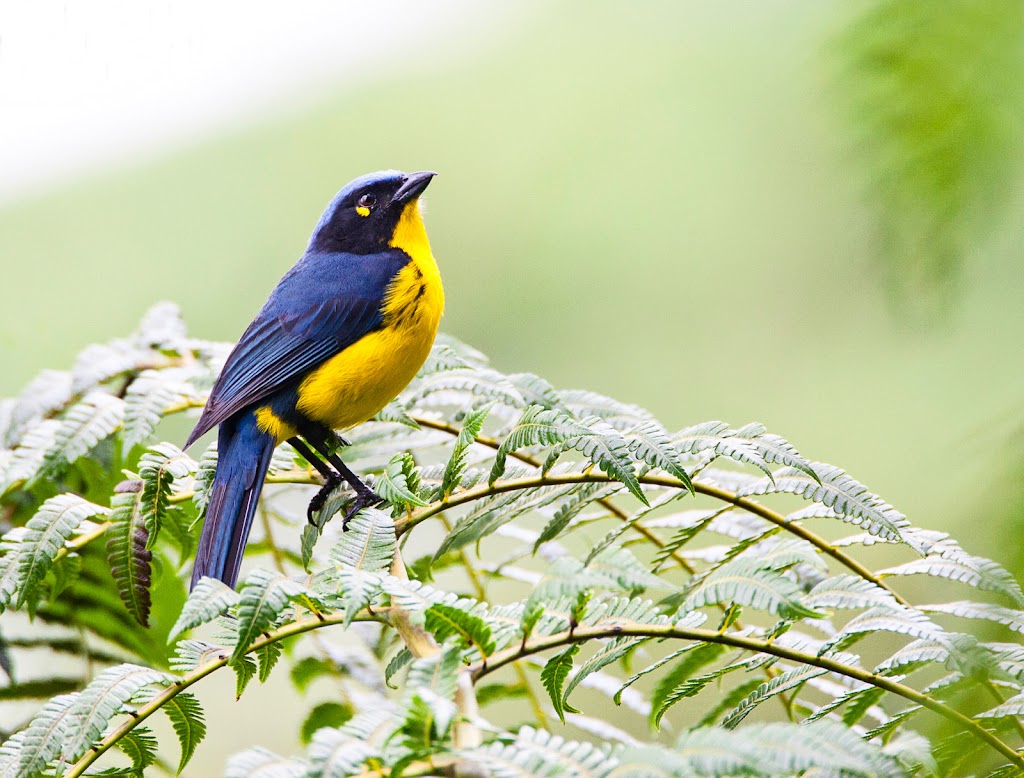 Eagle-Eye Tours | 4711 Galena St, Windermere, BC V0B 2L2, Canada | Phone: (250) 342-8640