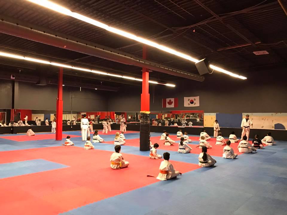 Black Belt World Oakville | 467 Speers Road, Units 5-8, Oakville, ON L6K 3S4, Canada | Phone: (905) 849-5437