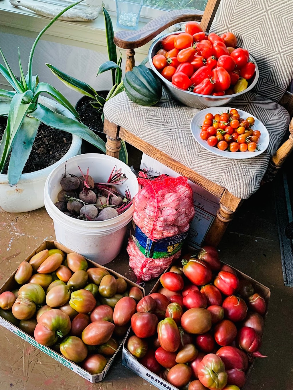 Black Label Farm Stand | 6199 Dunboyne Rd, Courtenay, BC V9J 1M8, Canada | Phone: (250) 709-2645