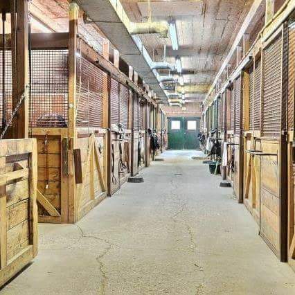 Les Écuries HavenBrook Stables | 125 Rang Amyot O, Saint-Denis-sur-Richelieu, QC J0H 1K0, Canada | Phone: (514) 850-9711