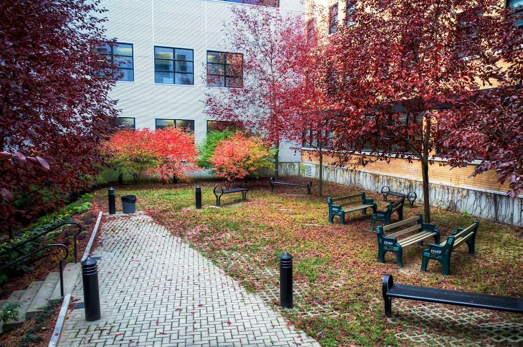 Cégep régional de Lanaudière à LAssomption | 180 Rue Dorval, LAssomption, QC J5W 6C1, Canada | Phone: (450) 470-0922