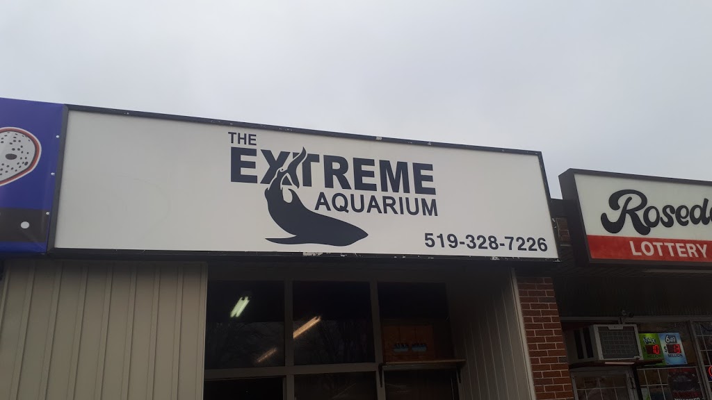 The Extreme Aquarium | pet store | 782 Rosedale Ave, Sarnia, ON N7V 2A1, Canada | 5193287226 OR +1 519-328-7226