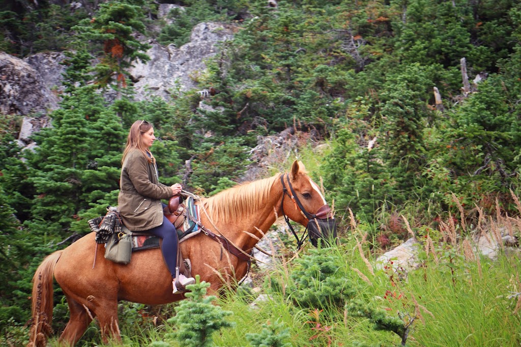 Timberline Tours Ltd | 101 St Piran Rd, Lake Louise, AB T0L 1E0, Canada | Phone: (403) 522-3743