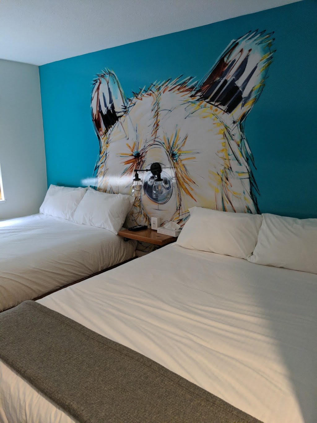 Crash Hotel Squamish | 38005 Cleveland Ave, Squamish, BC V8B 0C3, Canada | Phone: (604) 815-3403