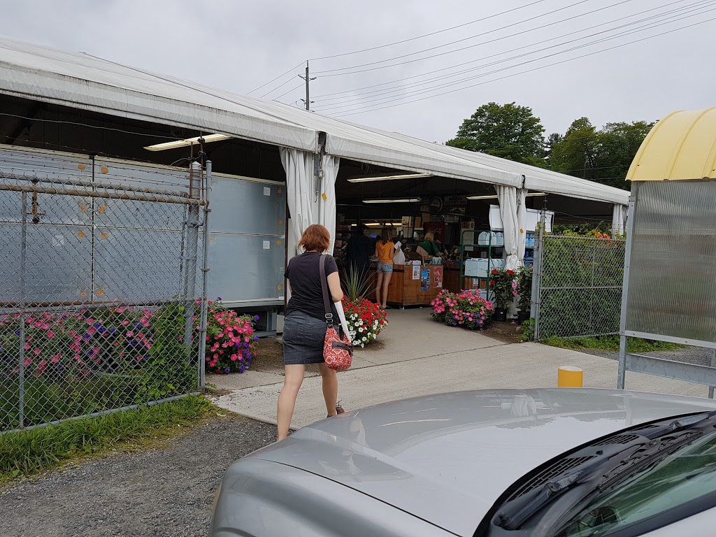 The Farmers Market | 83 Bowes St, Parry Sound, ON P2A 2L8, Canada | Phone: (705) 746-2424