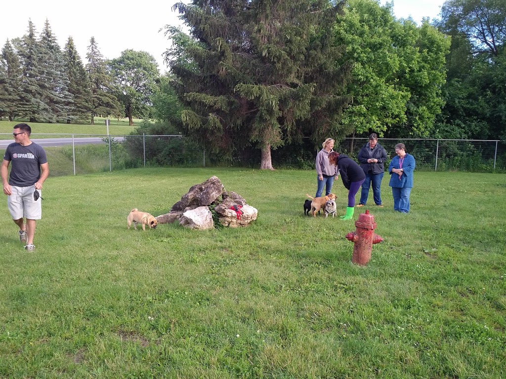 Peterborough West Animal Hospital | 2605 Stewart Line, Cavan, ON L0A 1C0, Canada | Phone: (705) 745-4800