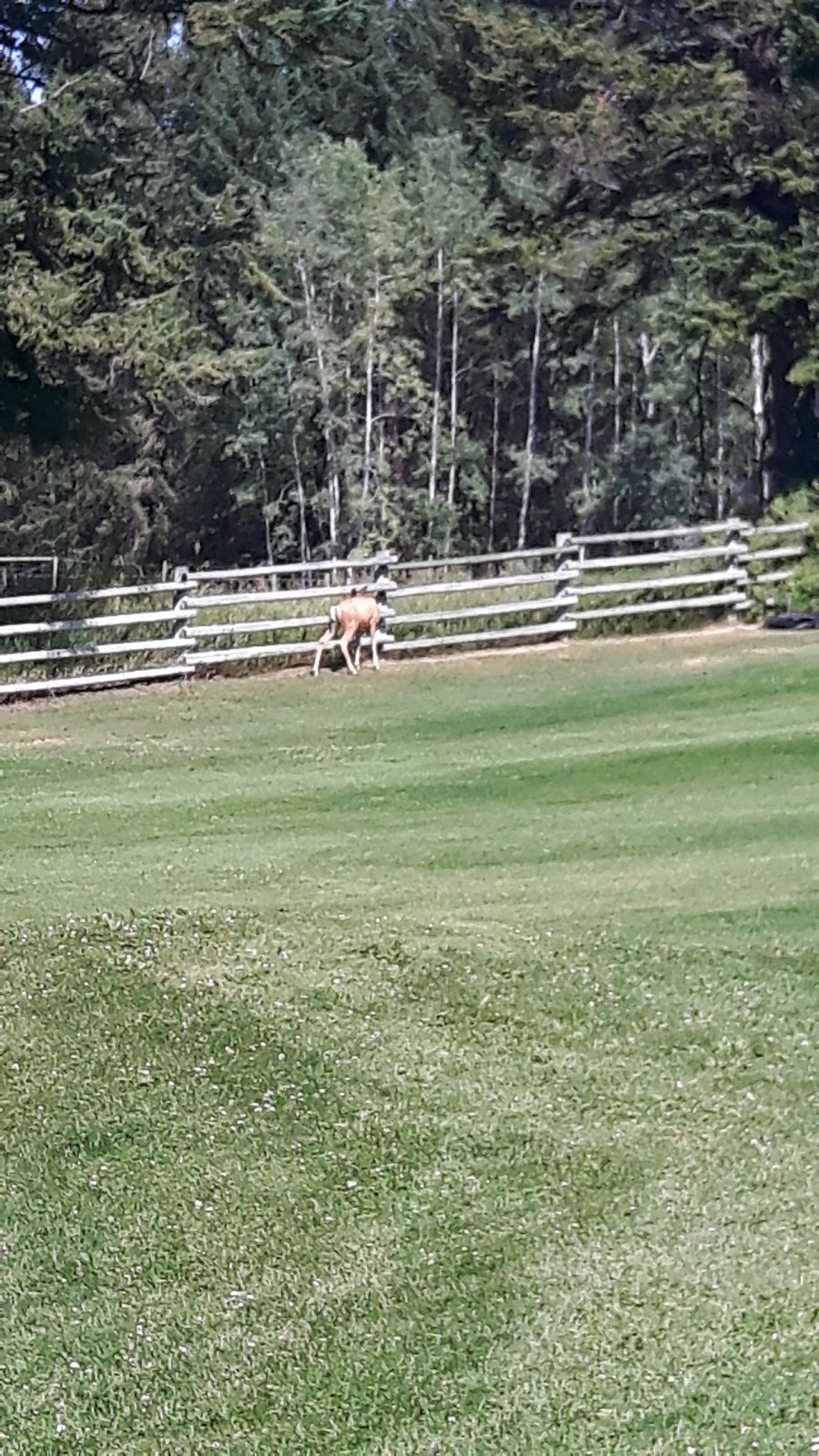 Edgewater Hilltop RV Park | 5585 BC-95, Edgewater, BC V0A 1E0, Canada | Phone: (250) 347-6502
