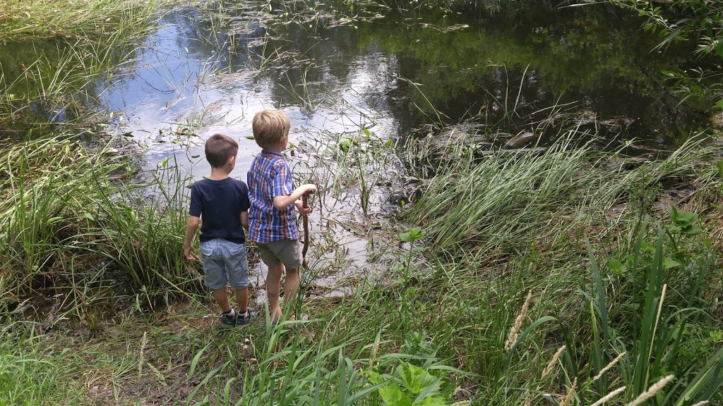 Malcolmson Eco Park | 325 Lakeshore Rd, St. Catharines, ON L2M 7Z3, Canada