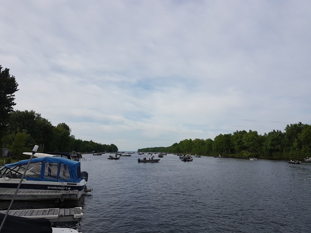 Starlite Marina | 985 Quesnel Rd, Sturgeon Falls, ON P2B 2W2, Canada | Phone: (705) 753-0249