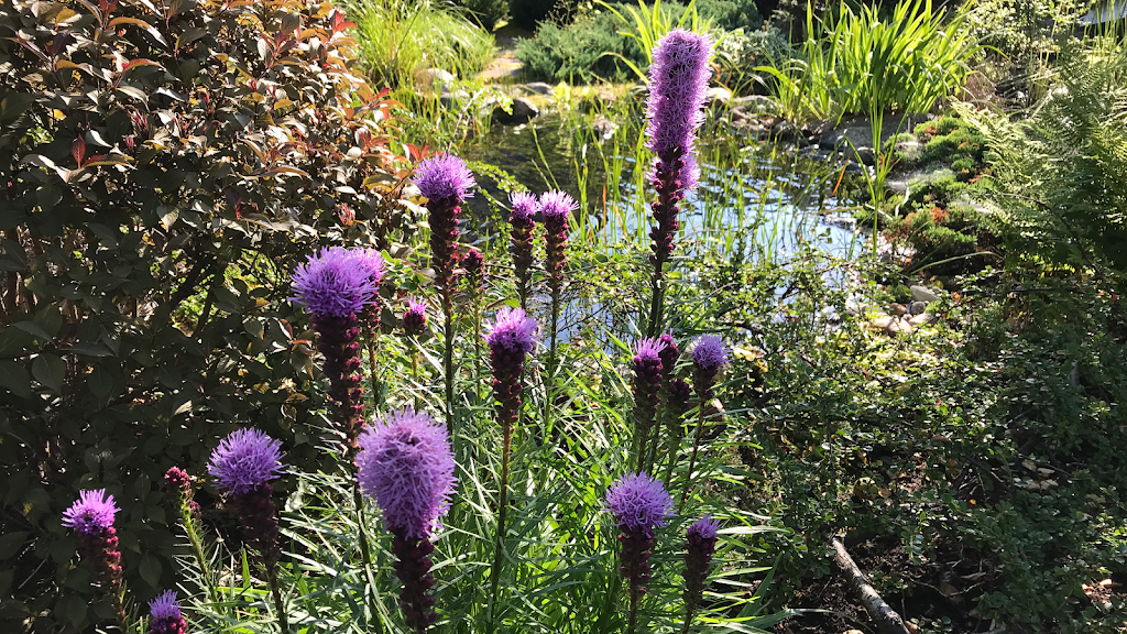 Caledonian Landscape Gardening & Consultancy | 94 Meadowbrook Dr, Bedford, NS B4A 1R3, Canada | Phone: (902) 405-0883