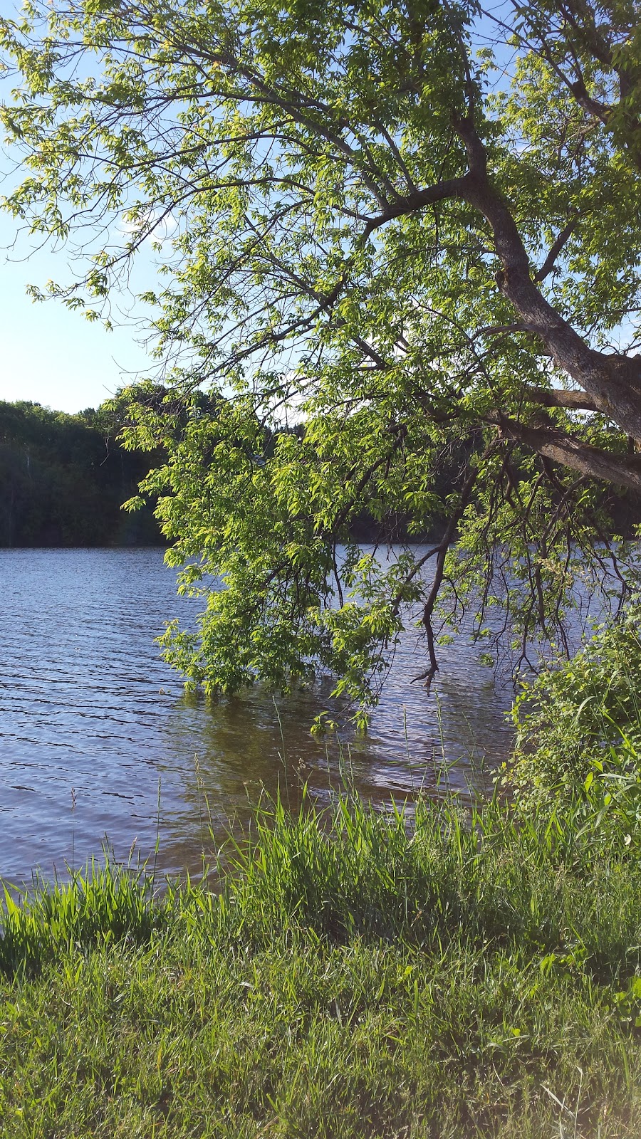 Chapman Mills Conservation Area | 253 Winding Way, Nepean, ON K2C 3H1, Canada | Phone: (613) 692-3571