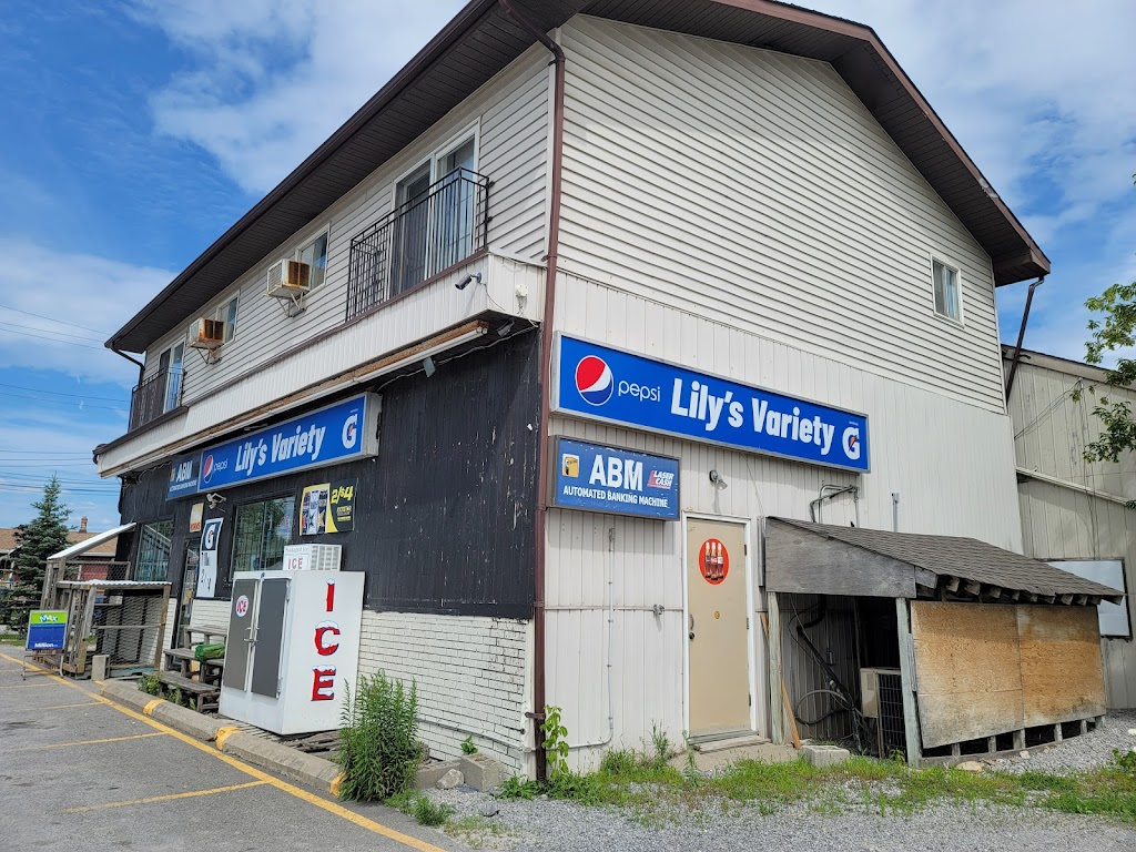 Lilys Variety | 109 Lindsay St, Fenelon Falls, ON K0M 1N0, Canada | Phone: (705) 887-2178