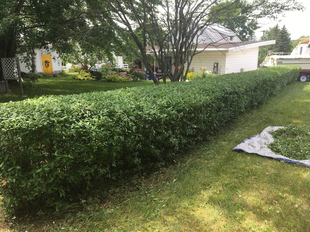 J.W.D Property Maintenance | 21 Beaumaur Dr, Penetanguishene, ON L9M 1V7, Canada | Phone: (705) 427-7947