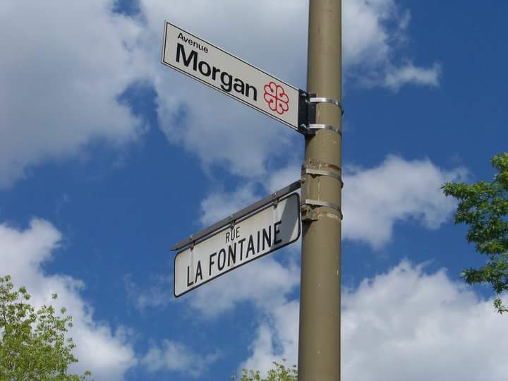 Primary School Maisonneuve | 1680 Av Morgan, Montréal, QC H1V 2P9, Canada | Phone: (514) 596-5442