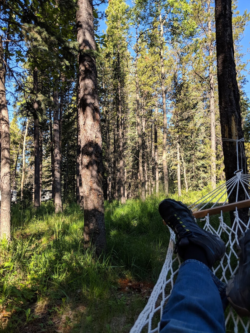 Bluerock Wildland Provincial Park | Millarville, AB T0L 1K0, Canada | Phone: (403) 949-3132