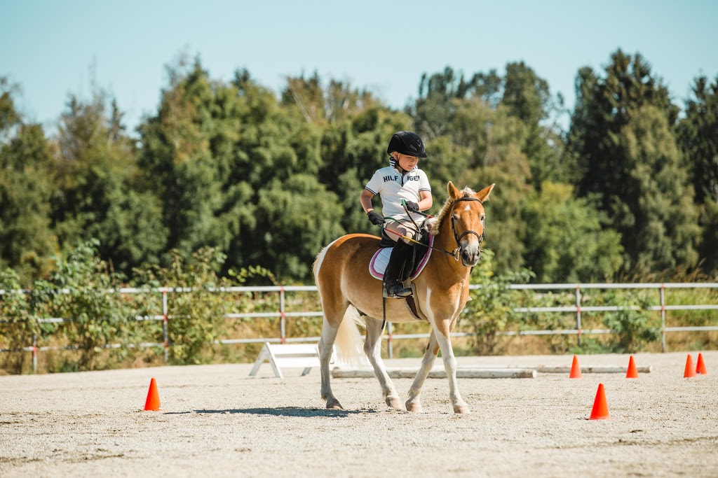 Pacific Banner Riding Club | 12400 No 3 Rd, Richmond, BC V7A 1X5, Canada | Phone: (604) 763-8869
