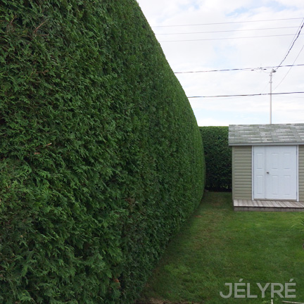 Gestions Jélyré Inc (Les) | 4190 Chem. Martin, Terrebonne, QC J6X 0B2, Canada | Phone: (450) 477-0556