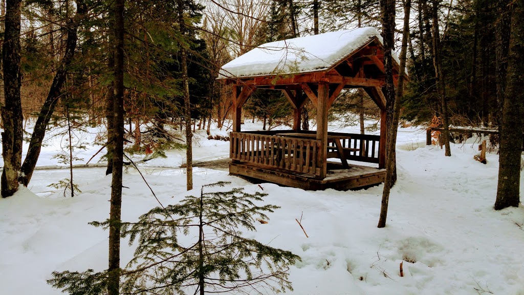 Parc régional des Grandes-Coulées | 2 Route du Plé, Plessisville, QC G0S 1T0, Canada | Phone: (819) 621-1333