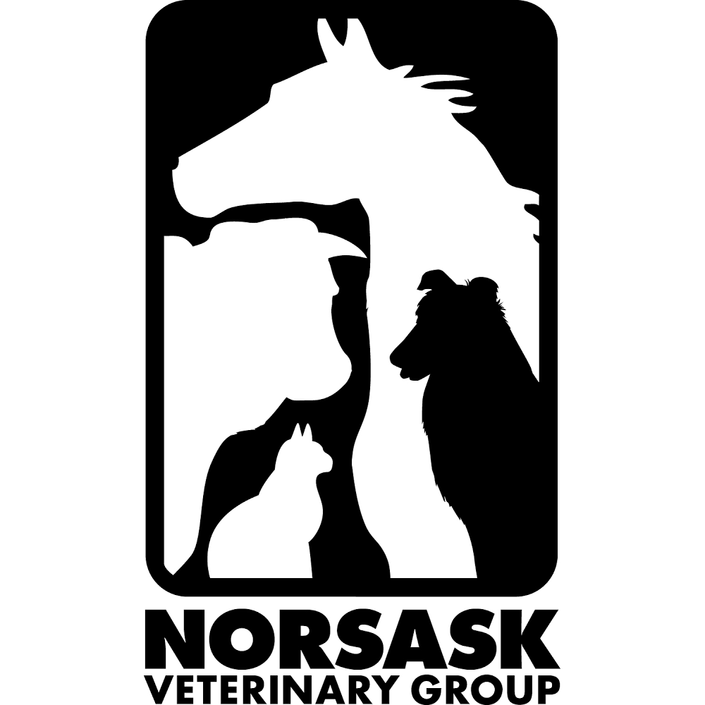 Rosthern Veterinary Clinic | 4016 Saskatchewan St, Rosthern, SK S0K 3R0, Canada | Phone: (306) 232-4323