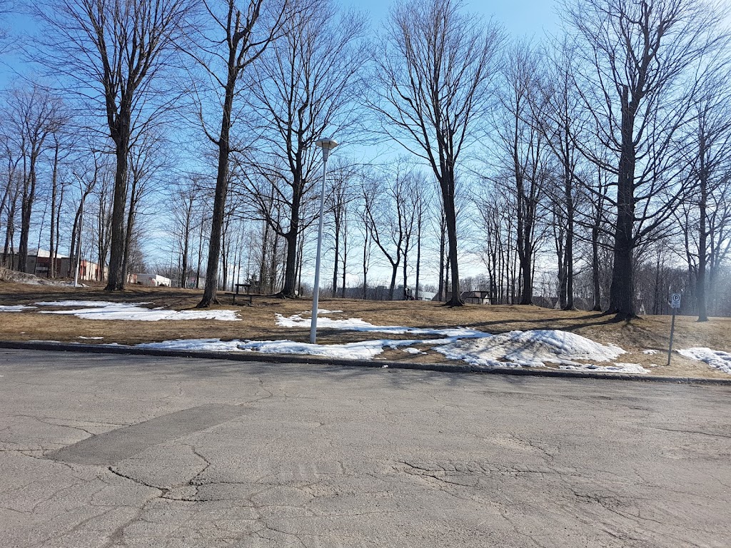 Parc Olympia | 1005 Rue Guy, Deux-Montagnes, QC J7R 0C5, Canada | Phone: (450) 473-2796