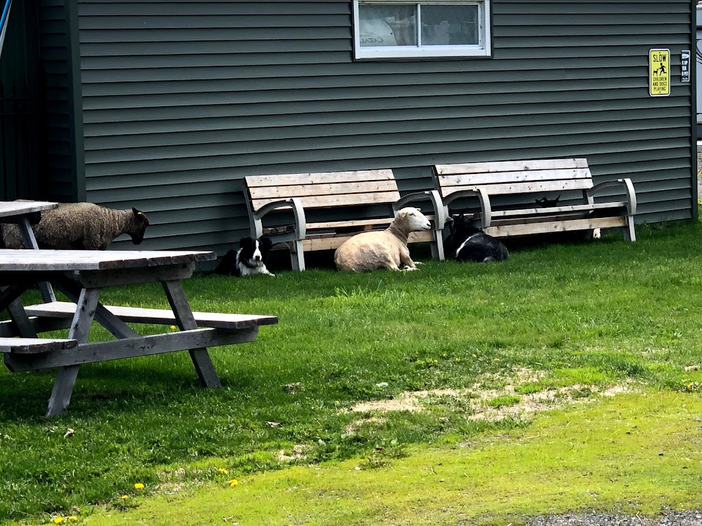 Grand Lake Campground | Booth Rd, Newcastle Creek, NB E4B 2H9, Canada | Phone: (506) 327-5367