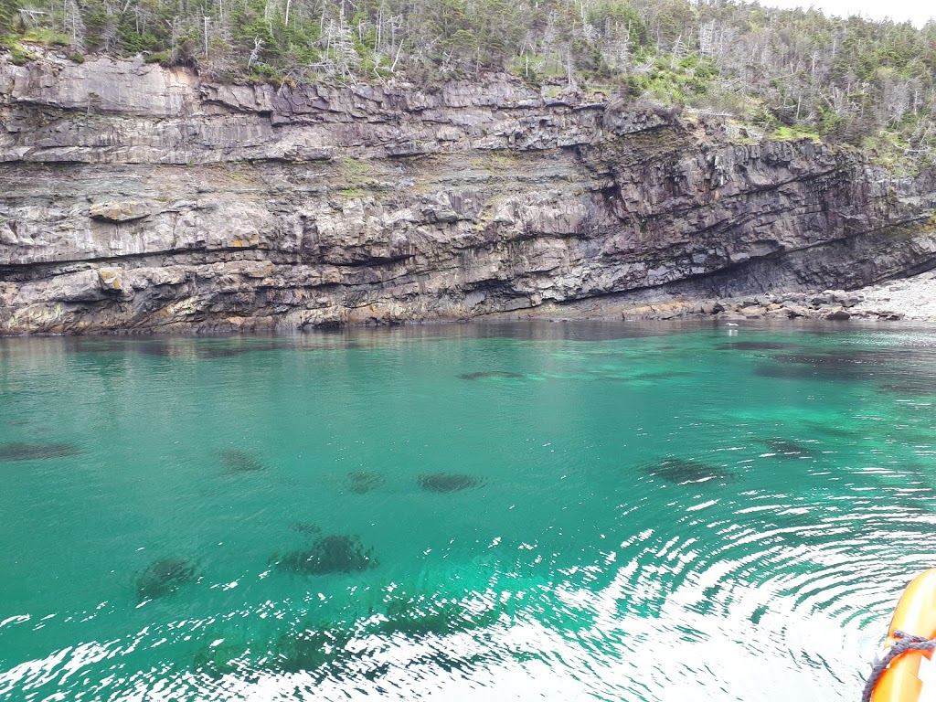 Dee Jay Charters | 140 Harbour Dr, St. Johns, NL A1C 6N6, Canada | Phone: (709) 753-8687