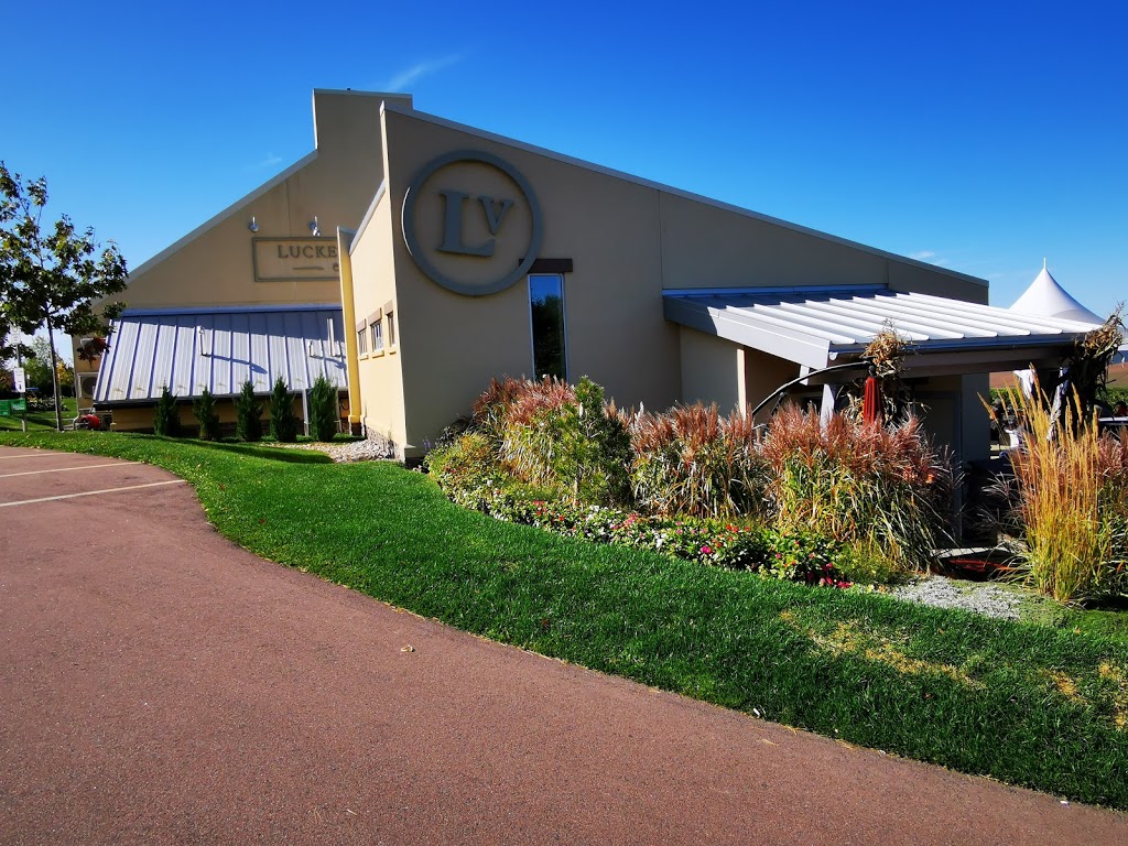 Luckett Vineyards | 1293 Grand Pré Rd, Wolfville, NS B4P 2R3, Canada | Phone: (902) 542-2600