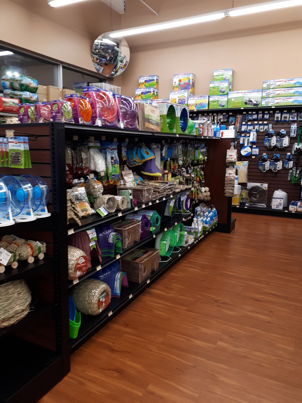 Paulmacs Pets | 410 Fairview Dr, Brantford, ON N3R 7V7, Canada | Phone: (519) 756-7710