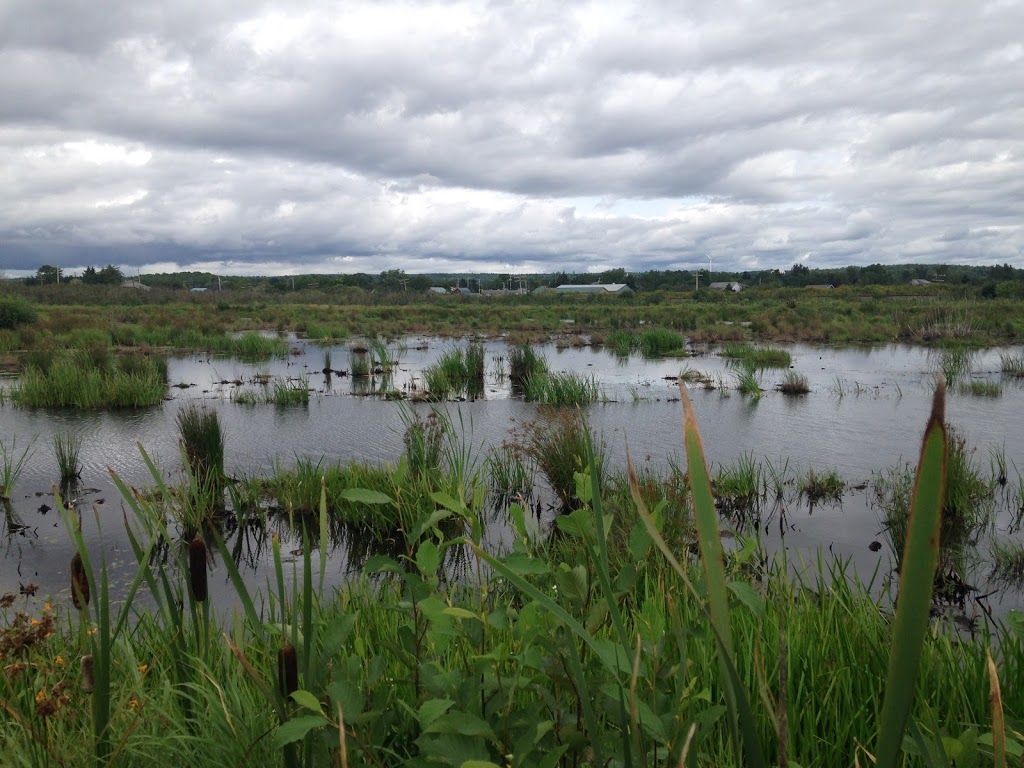 Brookfield Wetland & Nature Trail | Brookfield Wetlands Trail, Brookfield, NS B0N 1C0, Canada