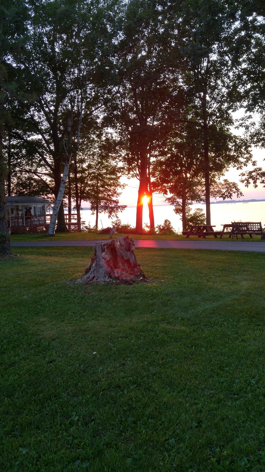 Birch Haven Camp Ground | 38191 NY-12E, Clayton, NY 13624, USA | Phone: (315) 686-5253