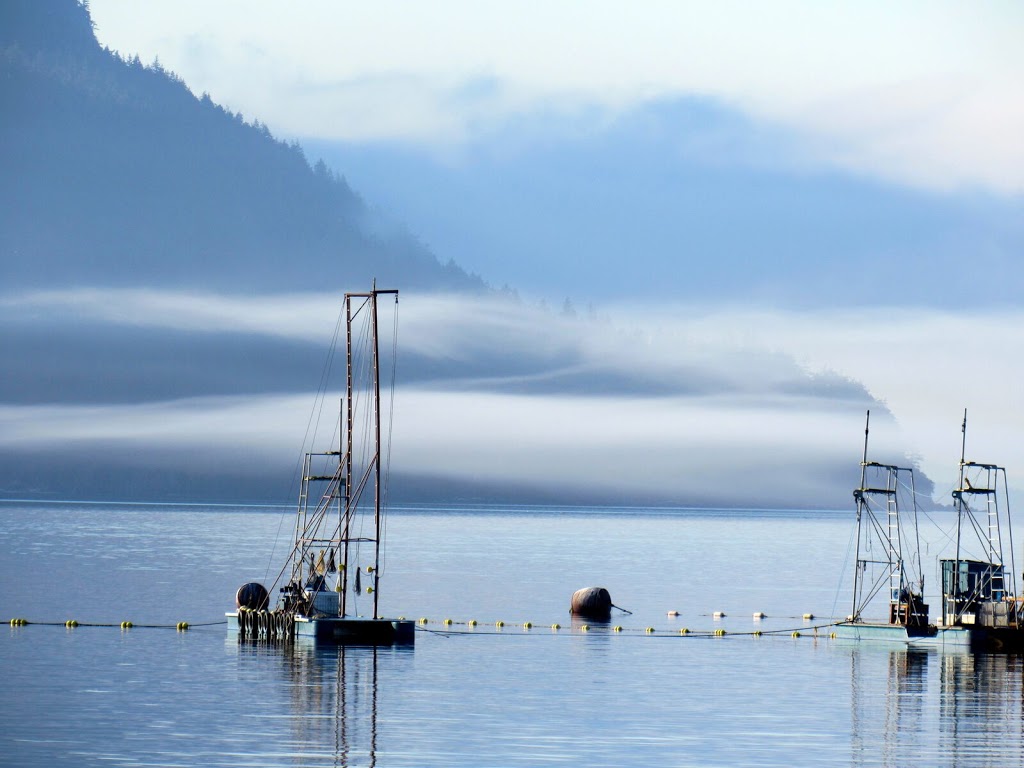 REC Retreats | 3854 Centerview Rd, Lummi Island, WA 98262, USA | Phone: (360) 220-8783