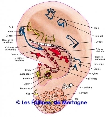 Réflexologie Sonia Aubut | 1757 Rue St Gérard, Saint-Alexandre-dIberville, QC J0J 1S0, Canada | Phone: (450) 347-4741