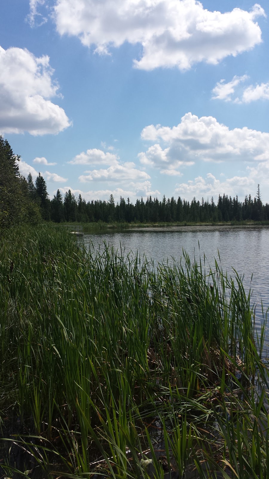 Echo Lake Family Campground | A, Range Rd 240, Clyde, AB T0G 0P0, Canada | Phone: (780) 349-3346