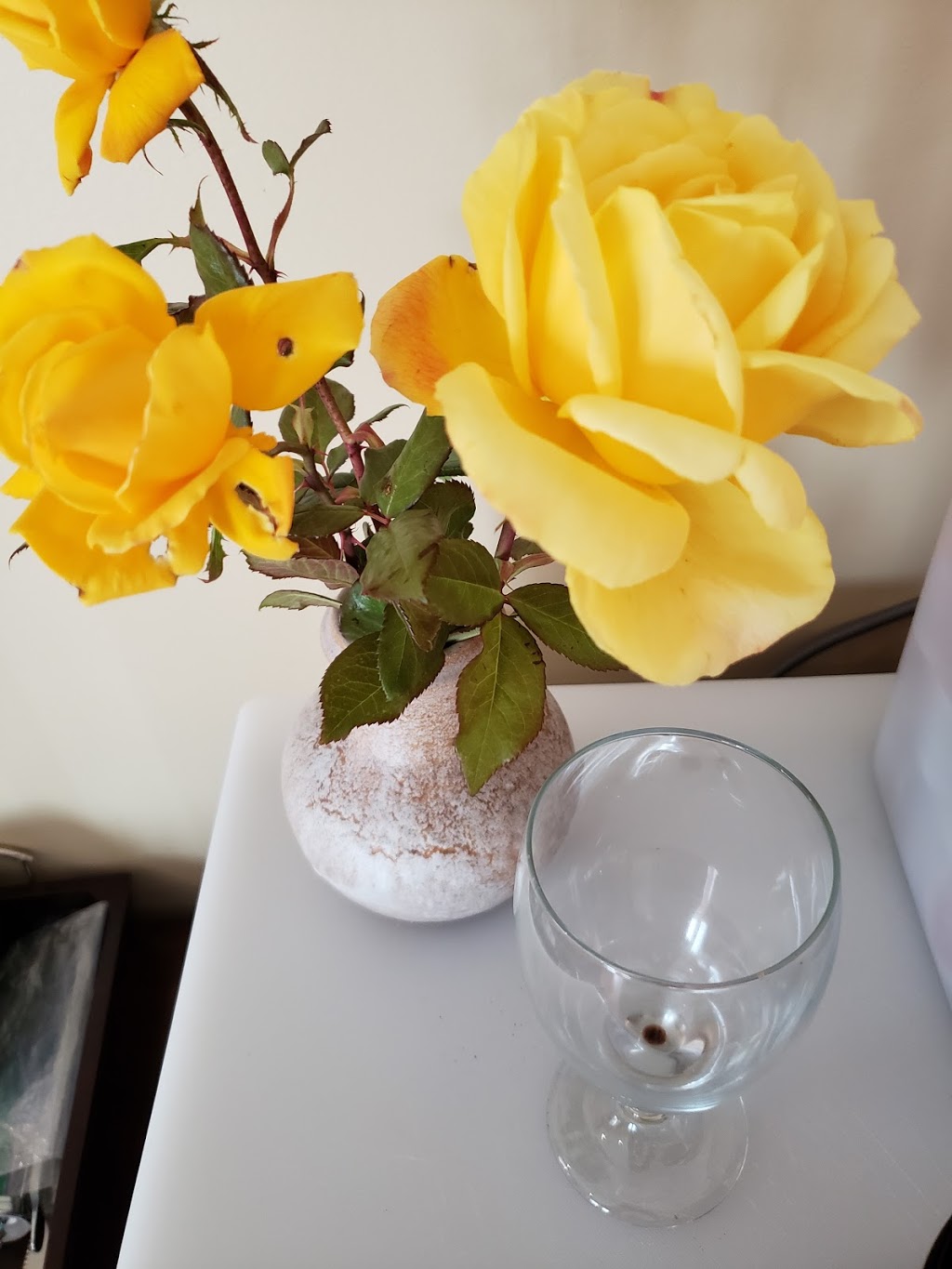 KeriGlen Lakeview Bed & Breakfast | 3404 W Bench Dr, Penticton, BC V2A 8Z8, Canada | Phone: (250) 276-9370