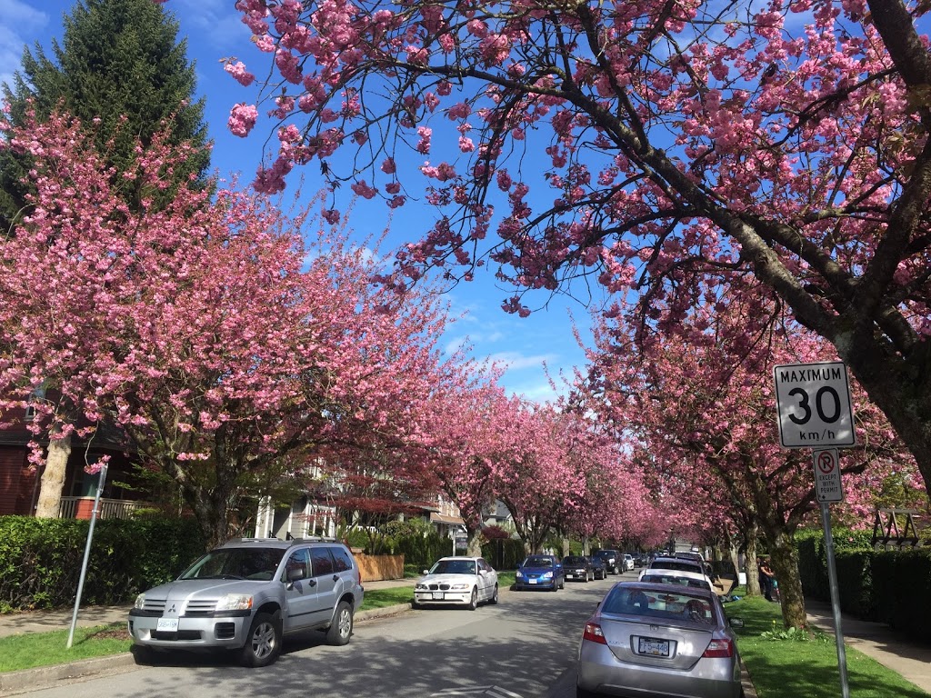 Simon Fraser Elementary School | 100 W 15th Ave, Vancouver, BC V5Y 3B7, Canada | Phone: (604) 713-4946