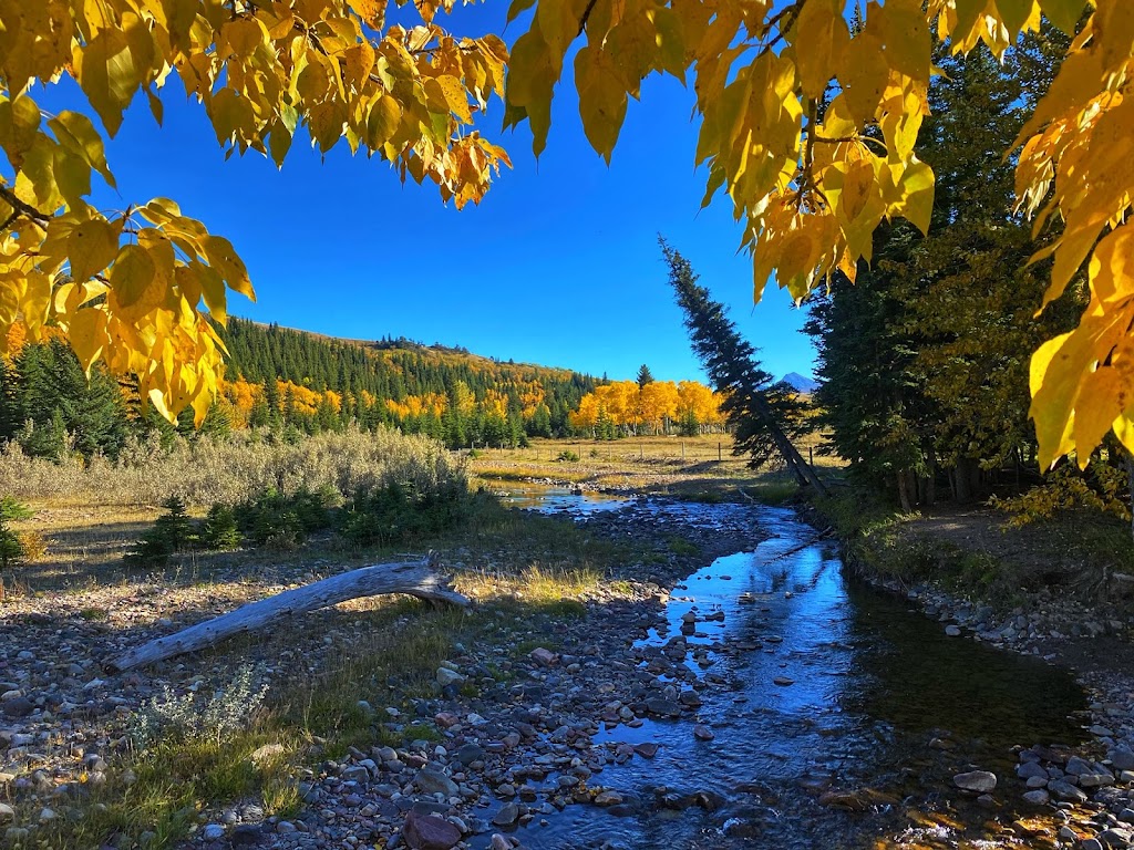Thanksgiving Ranch | SE 26-4-1-W5M, Pincher Creek, AB T0K 1W0, Canada | Phone: (403) 627-1961