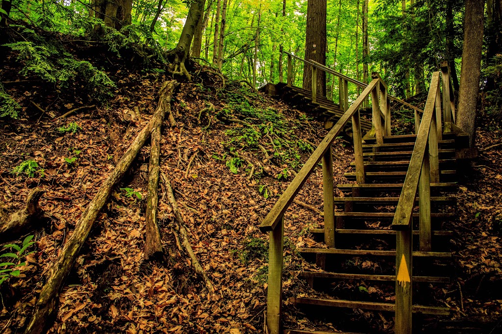 Indian Falls Conservation Area | 318614 Grey Rd 1, Owen Sound, ON N4K 5N4, Canada | Phone: (519) 376-3076