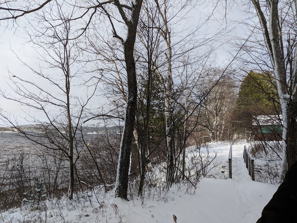 Camp Mini-Yo-We | 1878 Muskoka District Road 10, Port Sydney, ON P0B 1L0, Canada | Phone: (705) 385-2629