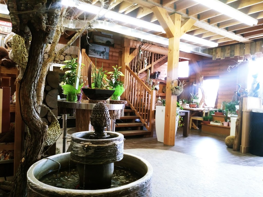 Evangelines Flower Hut | 261 Main St, Steinbach, MB R5G 1R6, Canada | Phone: (204) 346-3777
