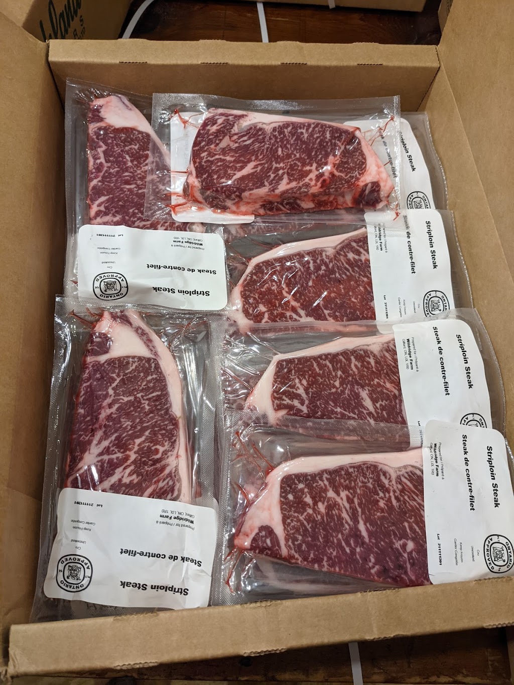 Wildridge Wagyu | 1854 14 Line, Gilford, ON L0L 1R0, Canada | Phone: (519) 831-9572