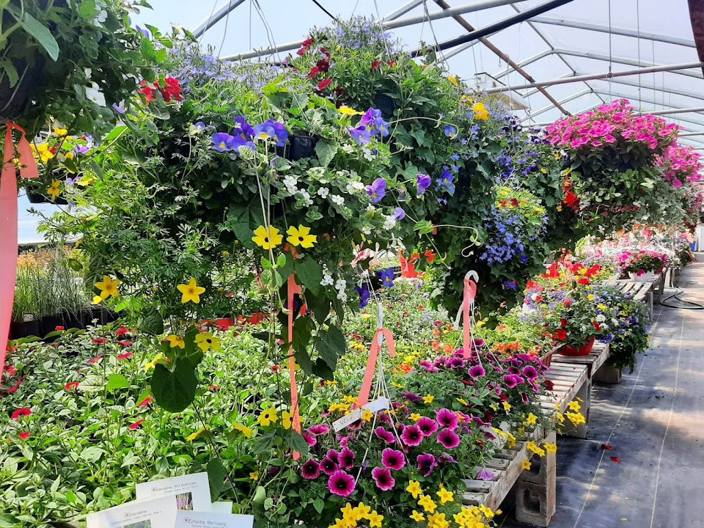 Serres Chouinard | 126 Chem. des Pionniers, Saint-Arsène, QC G0L 2K0, Canada | Phone: (418) 868-0899