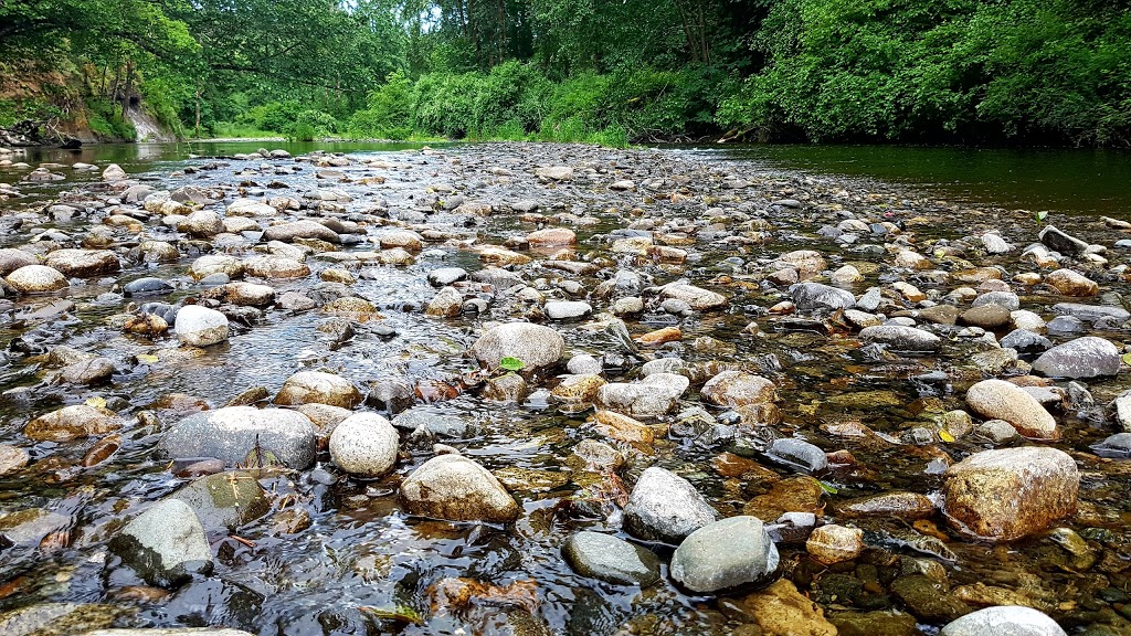 Bright Angel Regional Park | 4528 Tigwell Rd, Duncan, BC V9L 6N2, Canada | Phone: (250) 746-2500