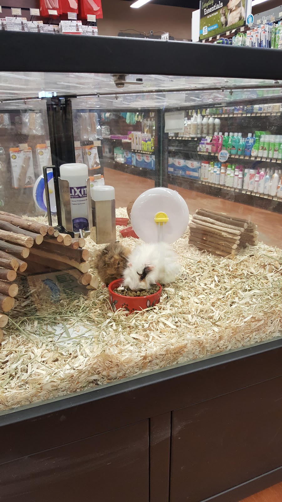 Pet Valu | 99 Balsam St #1, Collingwood, ON L9Y 3Y6, Canada | Phone: (705) 444-1767