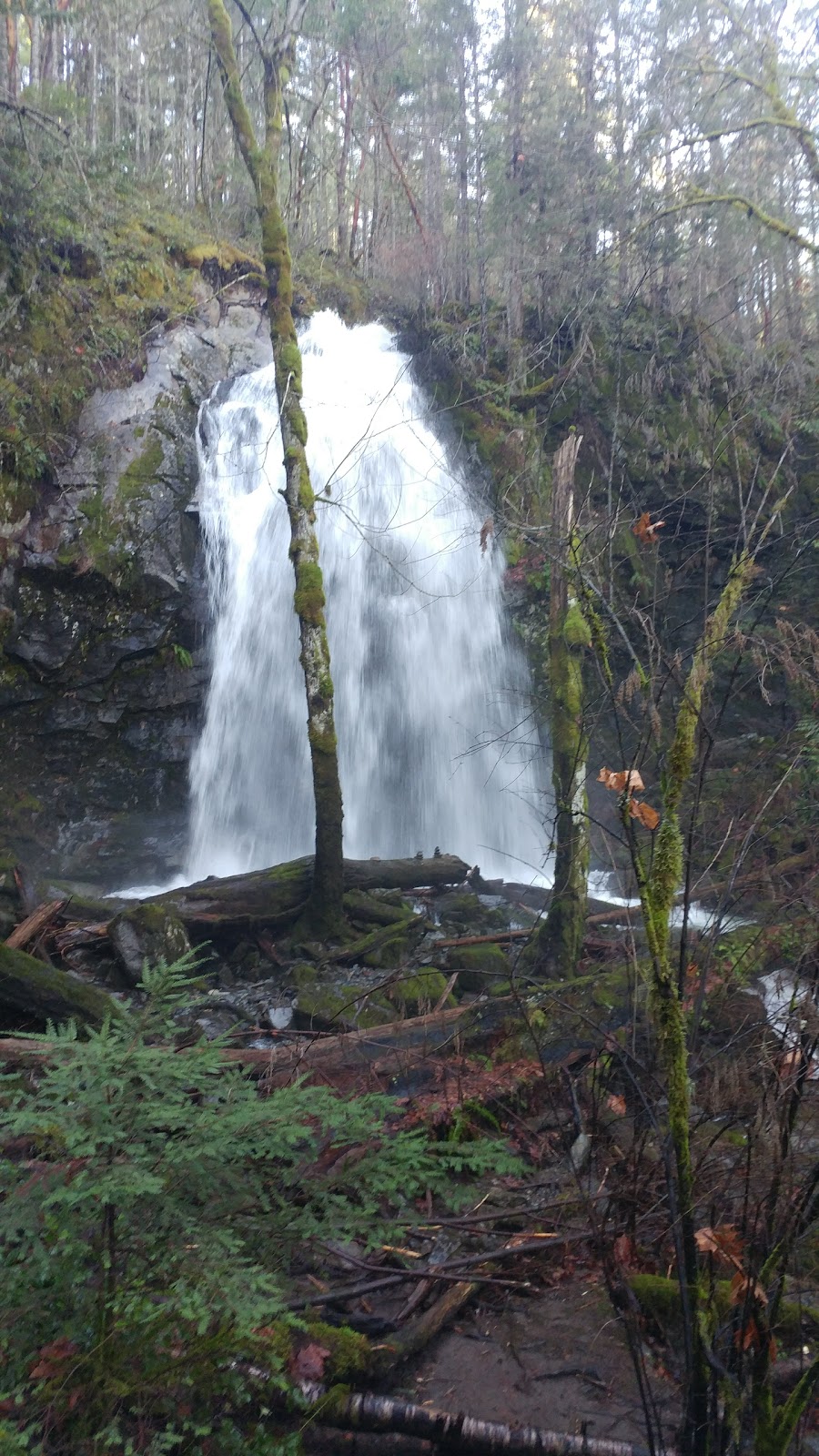 Christie Falls Access Point | 1M5, Oyster StoLo Rd, Ladysmith, BC V9G 1M4, Canada