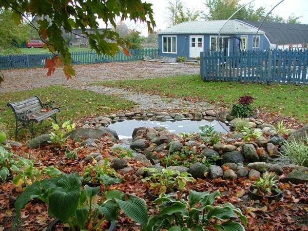 Koi Nursery & Water Gardens | 21751 Simcoe St, Seagrave, ON L0C 1G0, Canada | Phone: (905) 985-4600