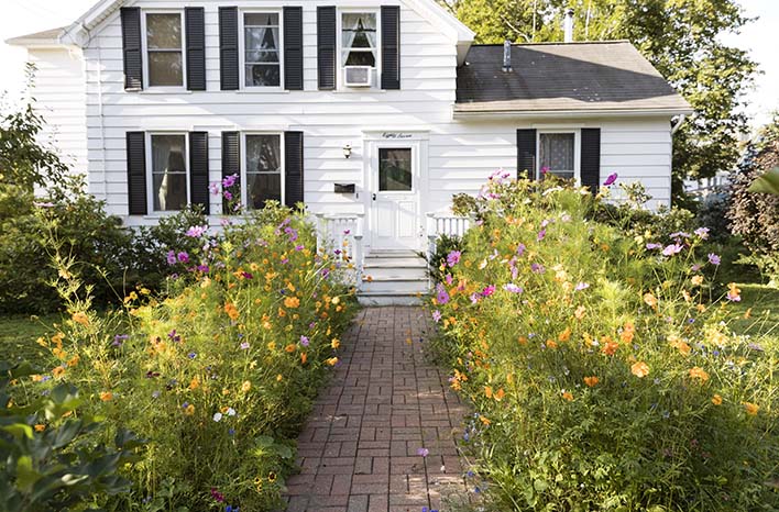 Dawn Gardenscapes | 6870 Fansher Rd, Florence, ON N0P 1R0, Canada | Phone: (226) 627-0793