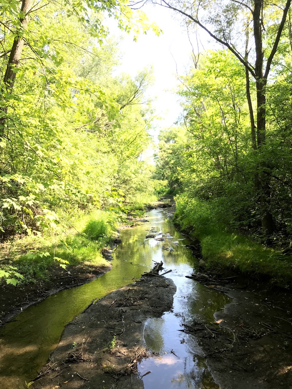Bois de Liesse | 3500 Rue Douglas B Floreani, Saint-Laurent, QC H4S 2B9, Canada | Phone: (514) 872-0311