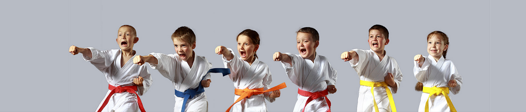 Saroughi International Taekwon-do Inc | 2016 Tenth Line Rd Unit #9, Orléans, ON K4A 4X4, Canada | Phone: (613) 834-5425