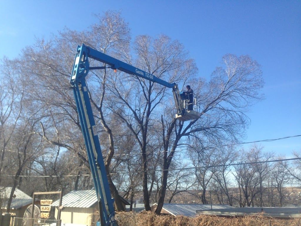 Anytime Tree Service | 77 Blue Sage Dr, Moose Jaw, SK S6J 1A5, Canada | Phone: (306) 684-9576